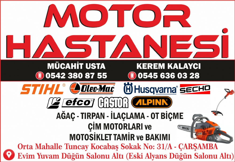 MOTOR