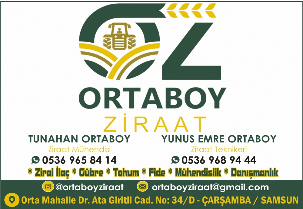 ORTABOY