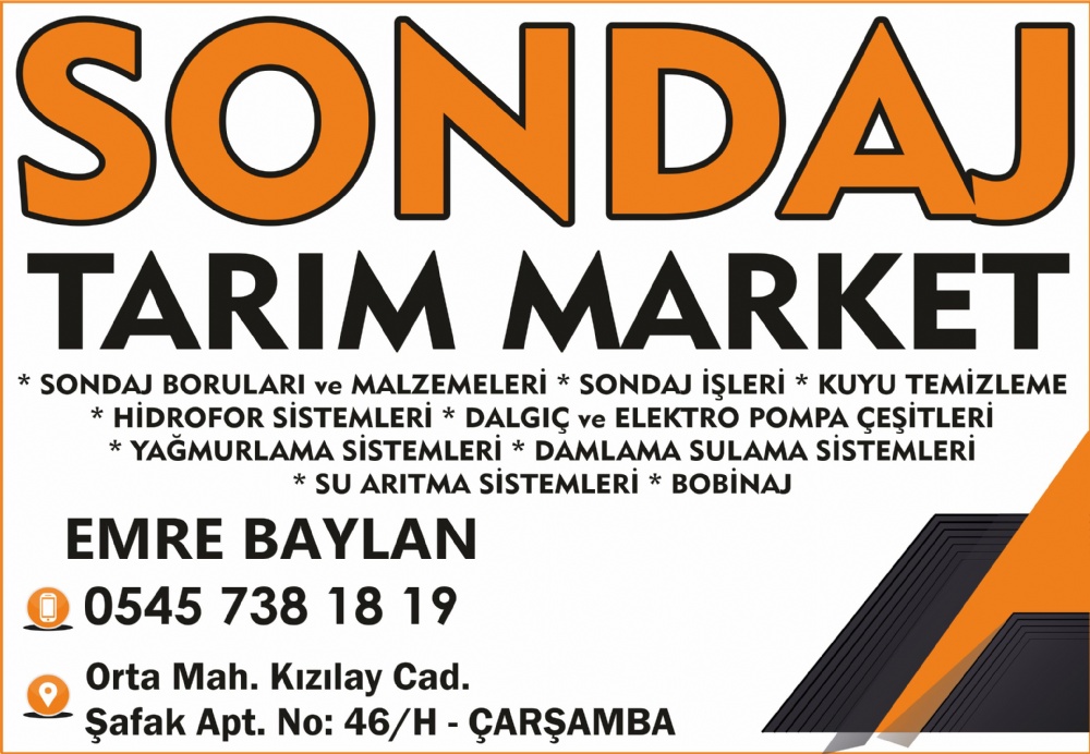 SONDAJ